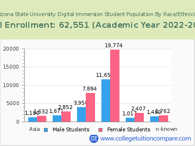 Arizona State University Digital Immersion 2023 Student Population by Gender and Race chart