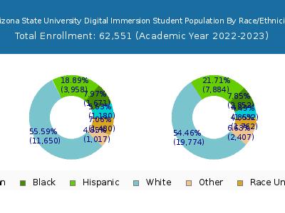 Arizona State University Digital Immersion 2023 Student Population by Gender and Race chart