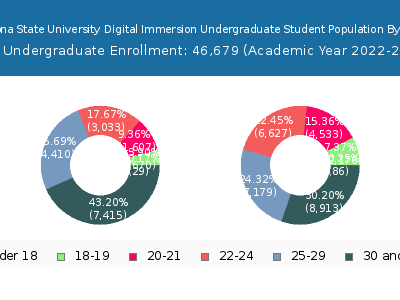 Arizona State University Digital Immersion 2023 Undergraduate Enrollment Age Diversity Pie chart