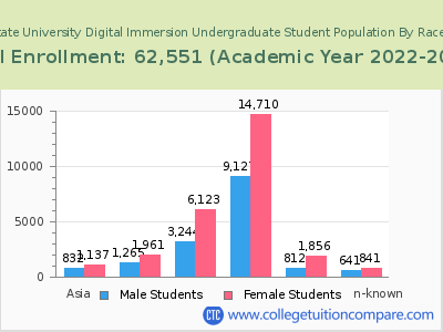 Arizona State University Digital Immersion 2023 Undergraduate Enrollment by Gender and Race chart