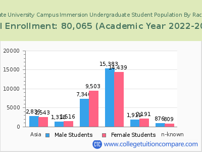 Arizona State University Campus Immersion 2023 Undergraduate Enrollment by Gender and Race chart