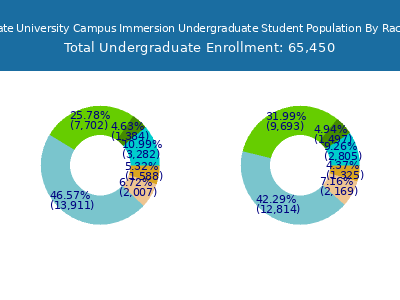 Arizona State University Campus Immersion 2025 Undergraduate Enrollment by Gender and Race chart