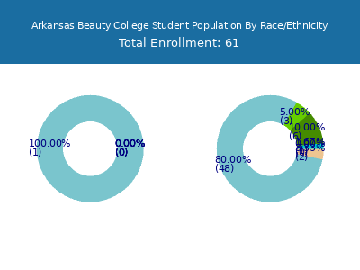 Arkansas Beauty College 2025 Student Population by Gender and Race chart