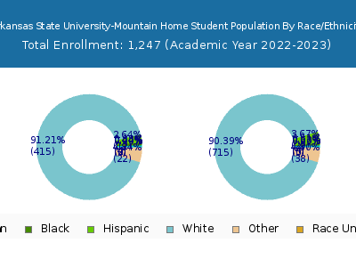 Arkansas State University-Mountain Home 2023 Student Population by Gender and Race chart
