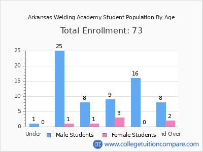 Arkansas Welding Academy 2024 Student Population by Age chart
