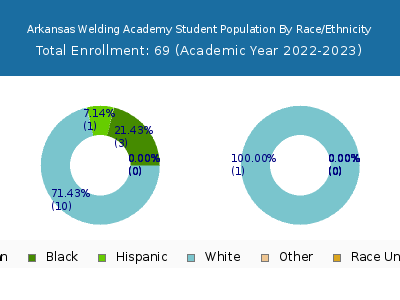Arkansas Welding Academy 2023 Student Population by Gender and Race chart