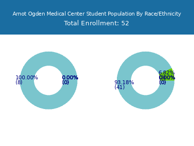 Arnot Ogden Medical Center 2025 Student Population by Gender and Race chart