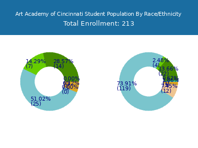 Art Academy of Cincinnati 2025 Student Population by Gender and Race chart