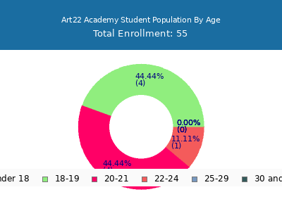 Art22 Academy 2024 Student Population Age Diversity Pie chart