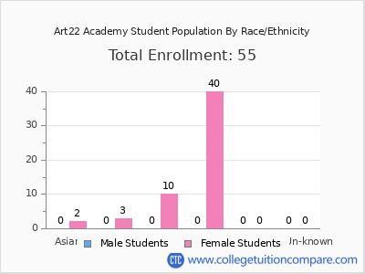 Art22 Academy 2025 Student Population by Gender and Race chart