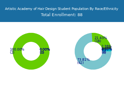Artistic Academy of Hair Design 2025 Student Population by Gender and Race chart