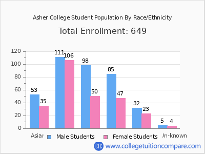 Asher College 2025 Student Population by Gender and Race chart