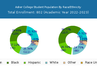 Asher College 2023 Student Population by Gender and Race chart