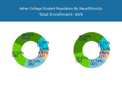 Asher College 2025 Student Population by Gender and Race chart