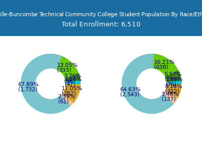 Asheville-Buncombe Technical Community College 2025 Student Population by Gender and Race chart