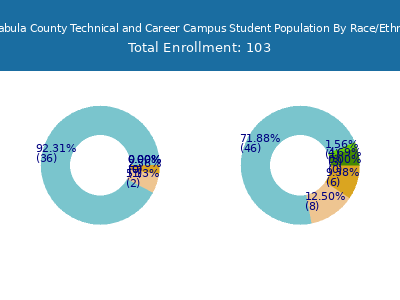 Ashtabula County Technical and Career Campus 2025 Student Population by Gender and Race chart