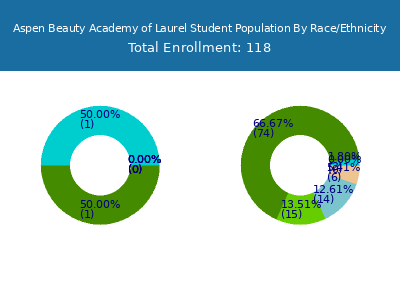 Aspen Beauty Academy of Laurel 2025 Student Population by Gender and Race chart