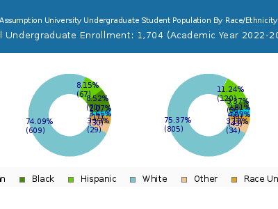 Assumption University 2023 Undergraduate Enrollment by Gender and Race chart