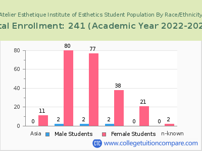 Atelier Esthetique Institute of Esthetics 2023 Student Population by Gender and Race chart
