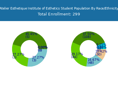 Atelier Esthetique Institute of Esthetics 2025 Student Population by Gender and Race chart