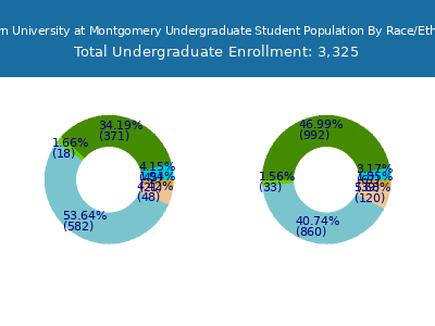 Auburn University at Montgomery 2025 Undergraduate Enrollment by Gender and Race chart
