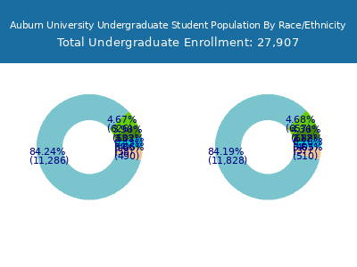 Auburn University 2025 Undergraduate Enrollment by Gender and Race chart