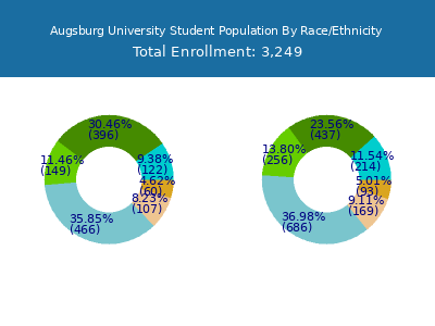 Augsburg University 2025 Student Population by Gender and Race chart
