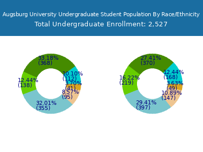 Augsburg University 2025 Undergraduate Enrollment by Gender and Race chart