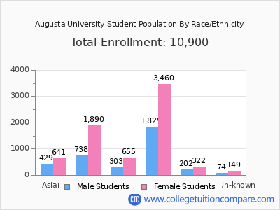 Augusta University 2025 Student Population by Gender and Race chart