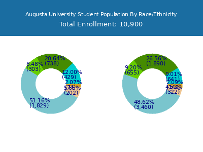 Augusta University 2025 Student Population by Gender and Race chart