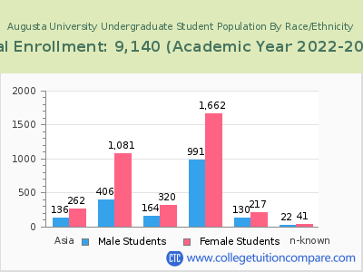 Augusta University 2023 Undergraduate Enrollment by Gender and Race chart