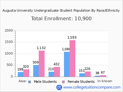 Augusta University 2025 Undergraduate Enrollment by Gender and Race chart