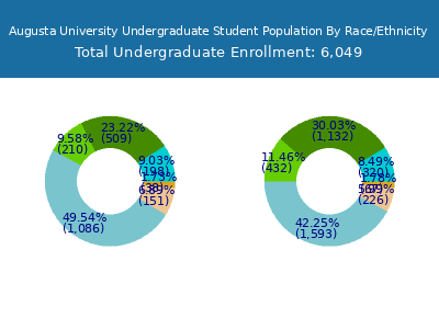 Augusta University 2025 Undergraduate Enrollment by Gender and Race chart