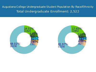 Augustana College 2025 Undergraduate Enrollment by Gender and Race chart