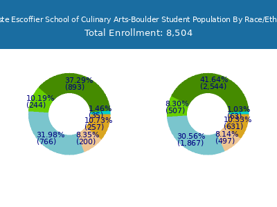 Auguste Escoffier School of Culinary Arts-Boulder 2025 Student Population by Gender and Race chart