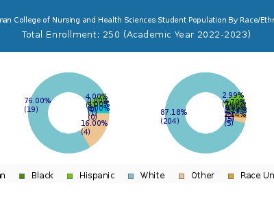 Aultman College of Nursing and Health Sciences 2023 Student Population by Gender and Race chart