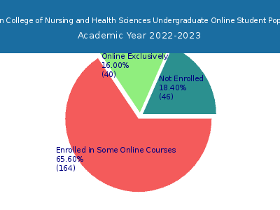Aultman College of Nursing and Health Sciences 2023 Online Student Population chart