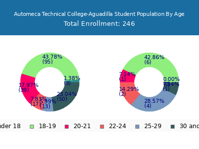 Automeca Technical College-Aguadilla 2024 Student Population Age Diversity Pie chart