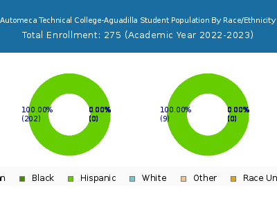 Automeca Technical College-Aguadilla 2023 Student Population by Gender and Race chart