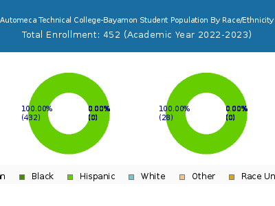 Automeca Technical College-Bayamon 2023 Student Population by Gender and Race chart
