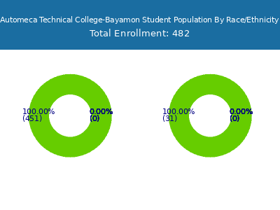Automeca Technical College-Bayamon 2025 Student Population by Gender and Race chart