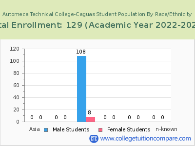 Automeca Technical College-Caguas 2023 Student Population by Gender and Race chart