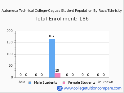 Automeca Technical College-Caguas 2025 Student Population by Gender and Race chart