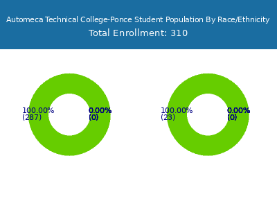 Automeca Technical College-Ponce 2025 Student Population by Gender and Race chart