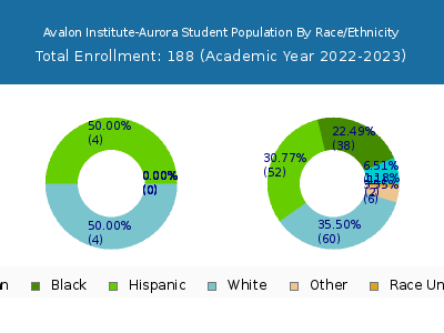 Avalon Institute-Aurora 2023 Student Population by Gender and Race chart