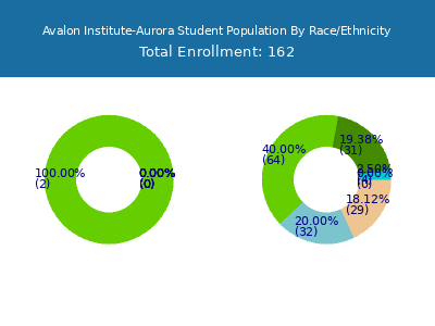 Avalon Institute-Aurora 2025 Student Population by Gender and Race chart