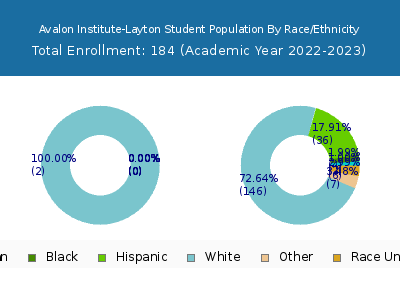 Avalon Institute-Layton 2023 Student Population by Gender and Race chart