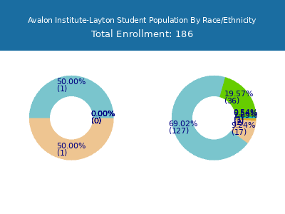 Avalon Institute-Layton 2025 Student Population by Gender and Race chart