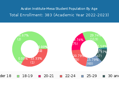Avalon Institute-Mesa 2023 Student Population Age Diversity Pie chart