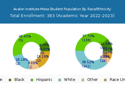 Avalon Institute-Mesa 2023 Student Population by Gender and Race chart